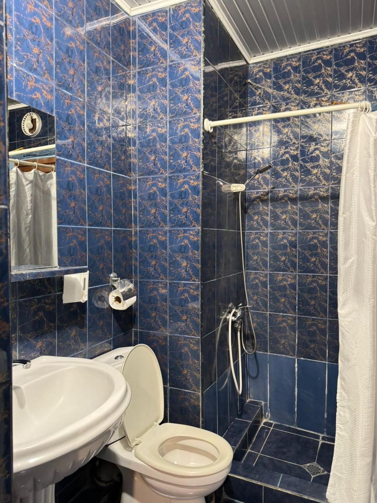 Benene'S Apartments Tbilisi Rom bilde